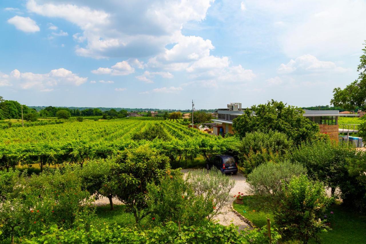 Sant'Andrea Agriturismo Con Cantina Martignago Vignaioli Asolo Prosecco Docg Wines Maser Exterior photo